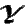 Y