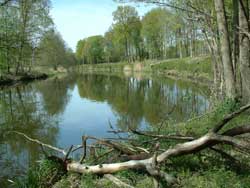 Drahendorfer Spree Standpunkt Umtragestelle zum Oder-Spree-Kanal.