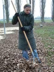 Olesja harkt das Laub an der Graskante zusammen.