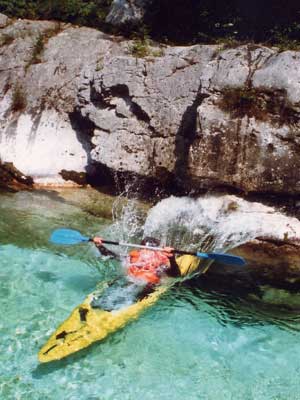 Klippenspringer Tony J.