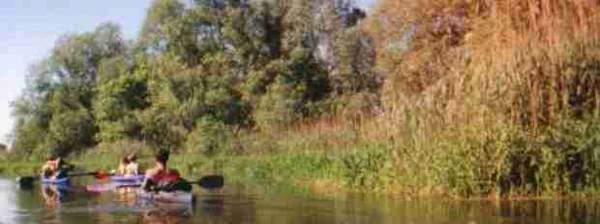 Paddler und Schilf