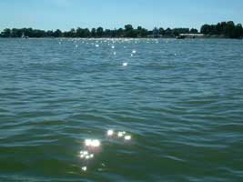 der Beetzsee, im Hintergrund die Regattastrecke