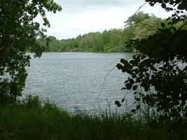 Blick auf den Kr&uuml;pelsee