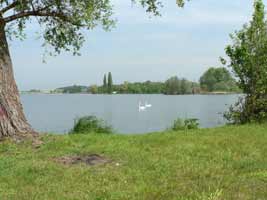 Wiese am Trebelsee
