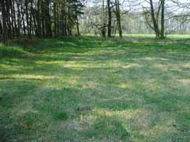 Wiese bei Luckenwalde