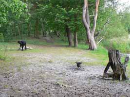 Camp bei Wolzig