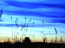 Ein umwerfender Sonnenuntergang f&uuml;r die gem&uuml;tliche Abendstimmung.