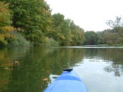die Drahendorfer Spree