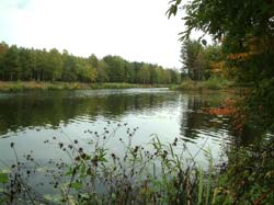 der Oder-Spree-Kanal