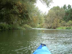 die Spree vor Neubr&uuml;ck