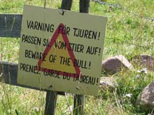 die Warnung vor dem Stier