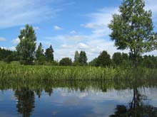 Landschaft am Tidan