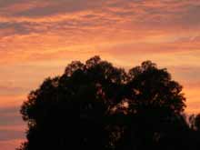 Abendstimmung