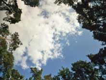 Blick in den Himmel.