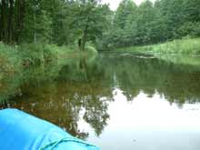 Der Czarna Hańcza flussabw&auml;rts.